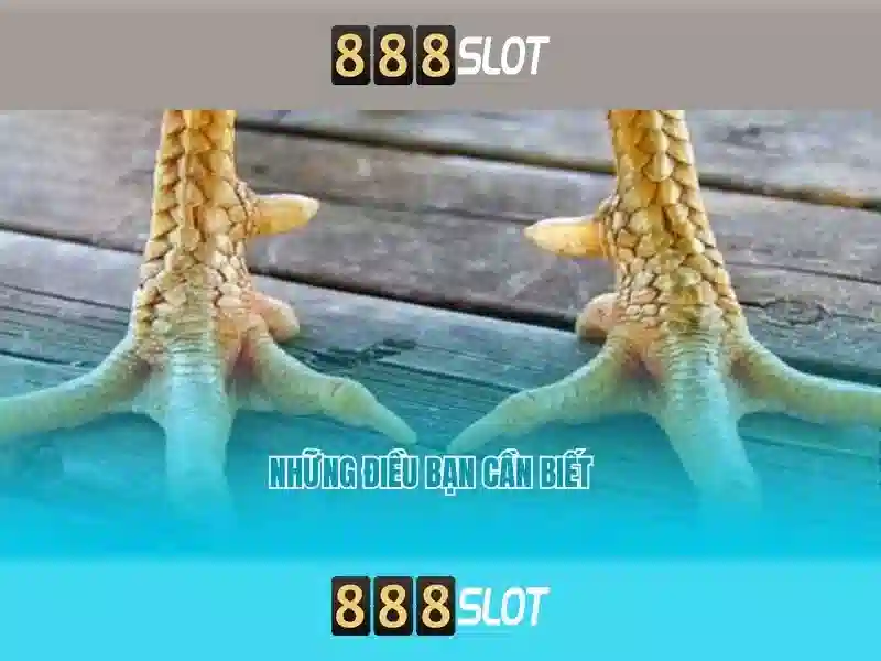 888slot – Trải nghiệm casino slot trực tuyến hàng đầu