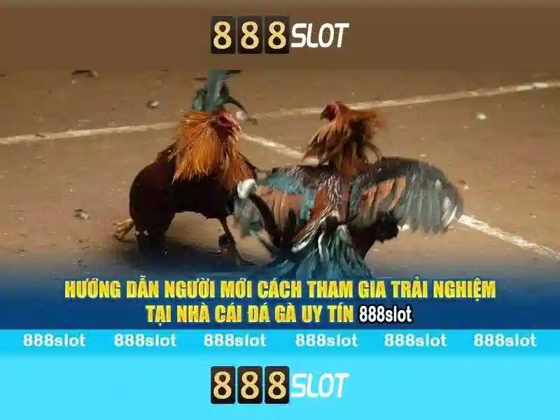 Giới thiệu về 888slot