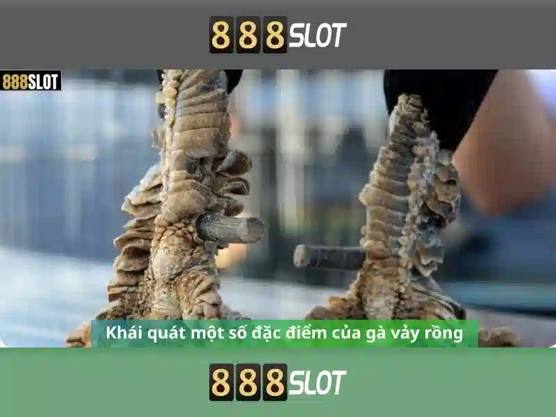 An toàn và thanh toán