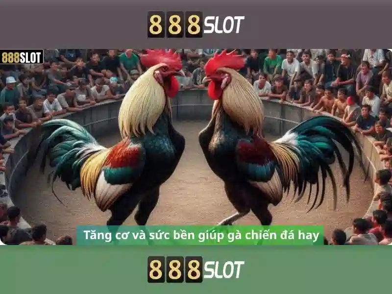 Trò chơi phổ biến và đánh giá