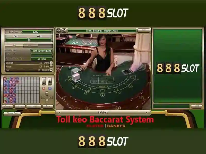 Dịch vụ hỗ trợ khách hàng và an toàn