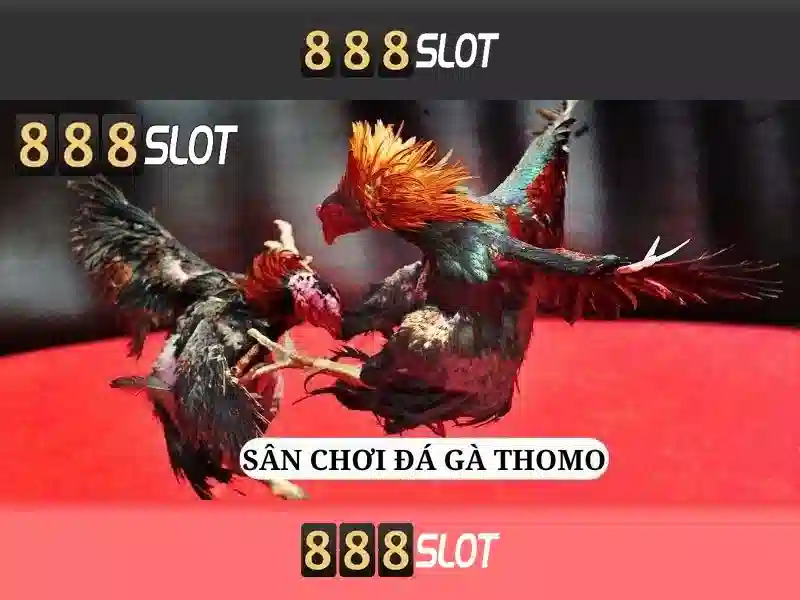 Hướng dẫn đăng ký và trải nghiệm