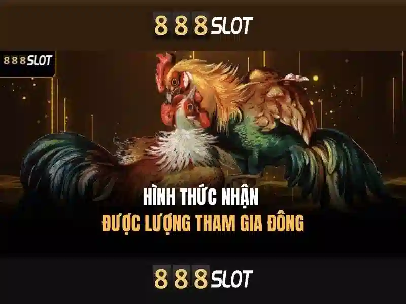 Trải nghiệm người dùng và giao diện