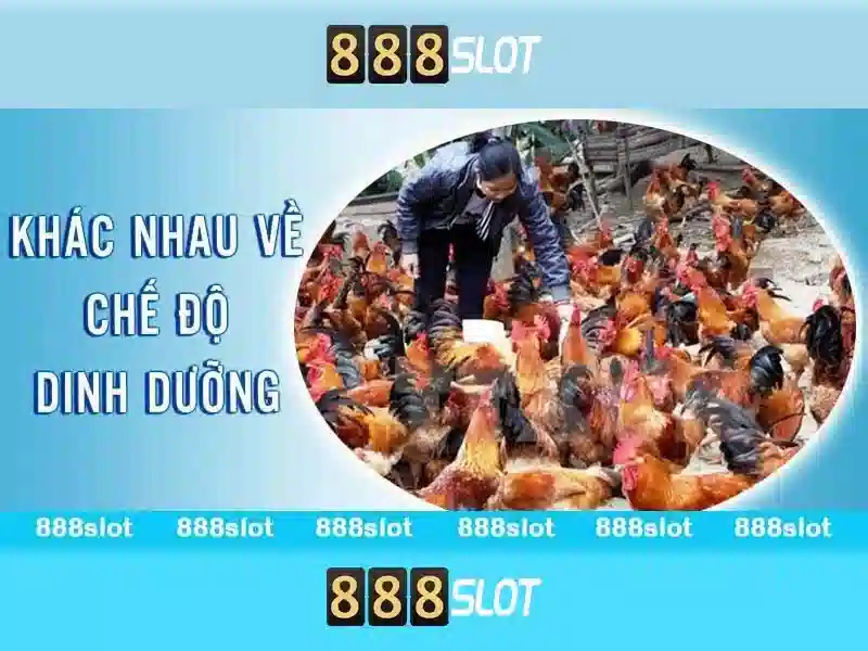 Bảo mật và thanh toán