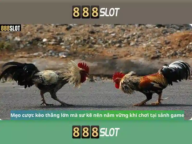 Mẹo chơi bắn cá 3 cây dễ ăn tiền nhà cái