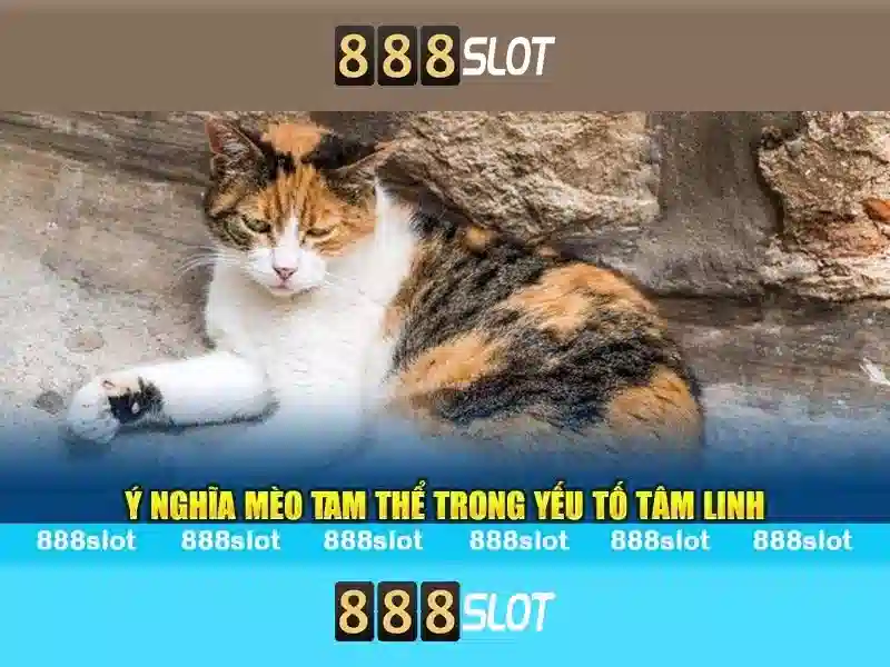 Khuyến mãi và chương trình thưởng Khuyến mãi và chương trình thưởng
