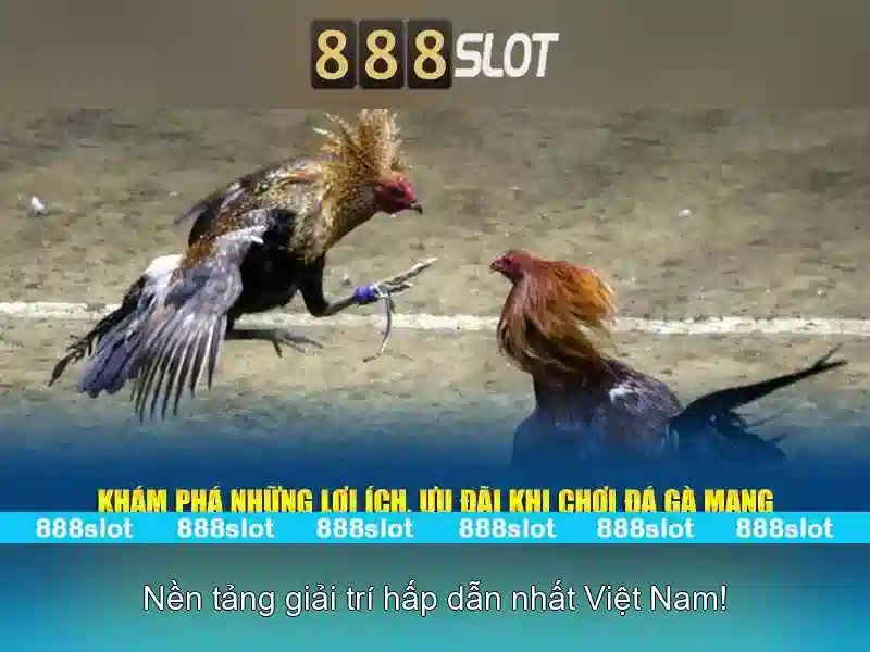 Danh mục trò chơi và chất lượng\n