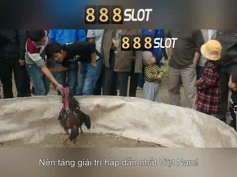Trò chơi và tính năng nổi bật\n