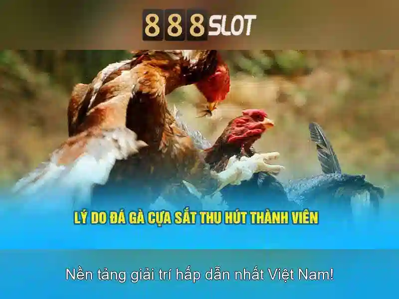 Giao diện phù hợp và trải nghiệm di động