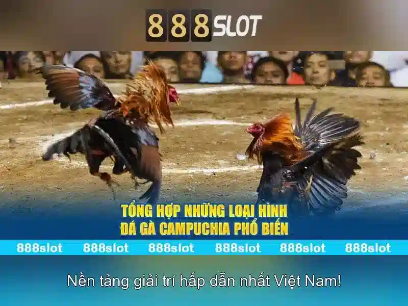 Tại sao người chơi ưa chuộng 888slot