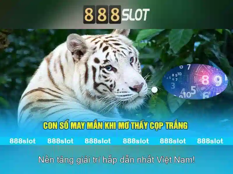 An toàn cho người chơi